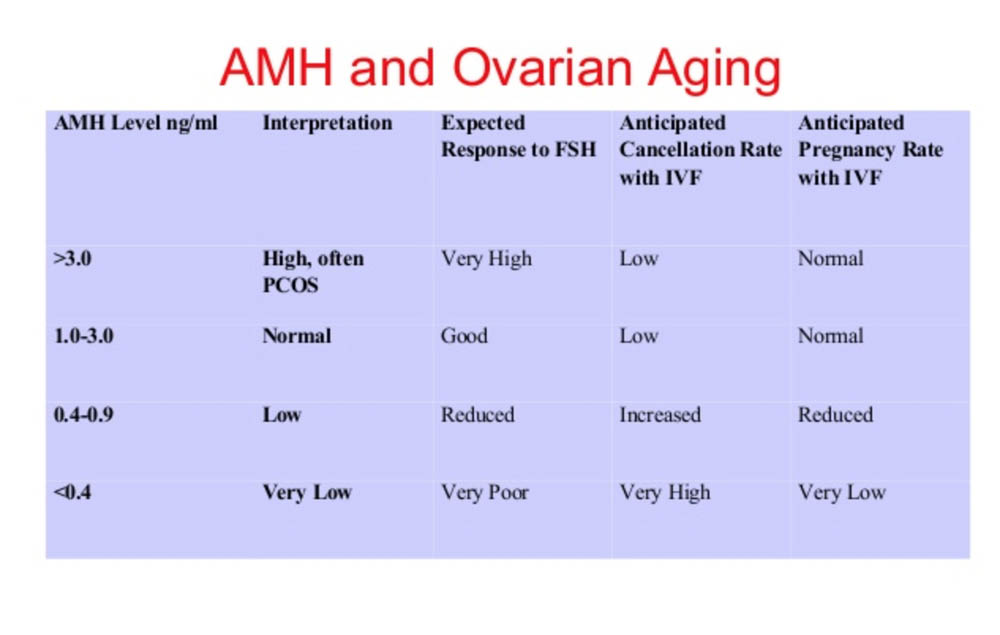 منخفضة AMH والتلقيح الاصطناعي: دليلك الأساسي Pt3.